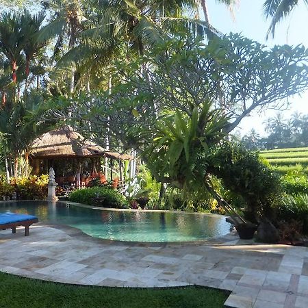 Villa Orchid Bali Denpasar Exterior foto