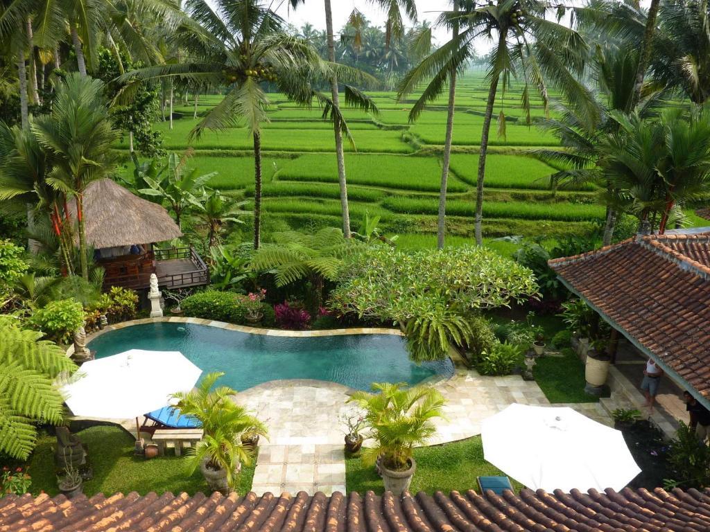 Villa Orchid Bali Denpasar Exterior foto